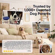 Load image into Gallery viewer, Puppy Lab Co Turkey Tail Mushroom for Dogs - Puppylabco Turkey Tail for Gut & Immune Supports, 100 Scoops | Bacon Flavor | Probiotics 100g (1)