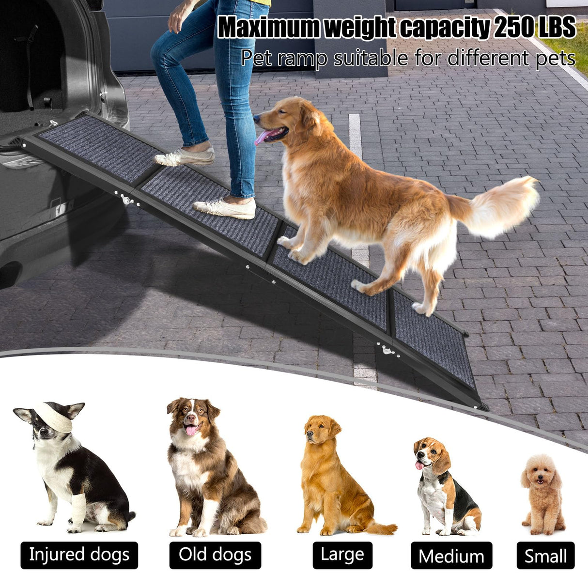 GaliGali Dog Ramp for Car, Portable Folding Pet Stair Ramp with Non-Slip Carpet, 62" Long & 19.7" Wide, Wider Dog Ramp Allow Medium to Large Dog Up to 250 lbs to Enter Car SUV Truck NO.GALILVTI160