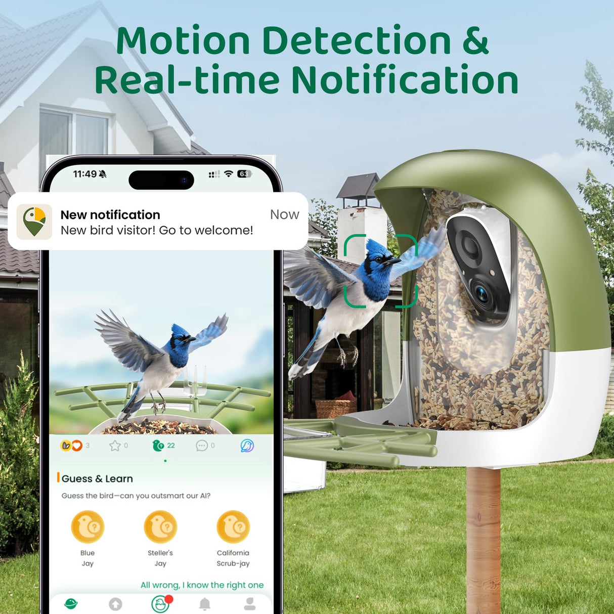 HIXX Smart Bird Feeder with Camera, AI Identify Birds & Auto Capture, 2K HD Live Camera Birdwatching with Color Night Vision for Bird Lovers Gifts (Forest Green)