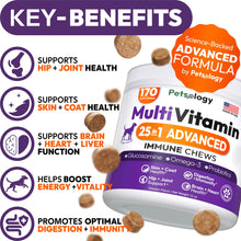 Load image into Gallery viewer, Dog Multivitamin Chewable - Dog Vitamins and Supplements with Glucosamine - 170 Chews - Hip & Joint, Pet Immune Support, Skin & Coat, Gut & Heart Health - Senior & Puppy Multivitamin Pet Supplement