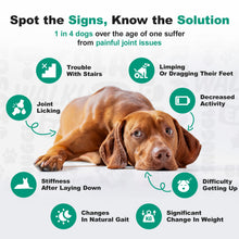 Load image into Gallery viewer, Doggie Dailies, Hip and Joint Supplement for Dogs, Glucosamine Chondroitin, Premium Hip and Joint Chews for Dogs All Breeds & Sizes, Dog Vitamins and Supplements, (Peanut Butter) 225 Chews