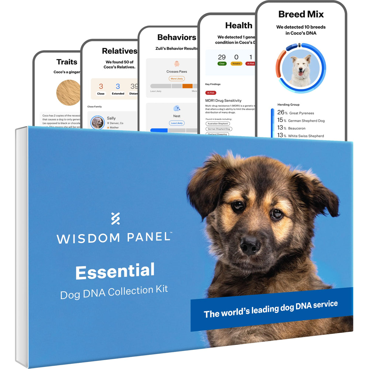 Wisdom Health Essential Dog DNA Kit | Most Accurate Test | 365+ Breeds | 30 Genetic Health Conditions | 50+ Traits, Relatives, Ancestry | Pack of 1