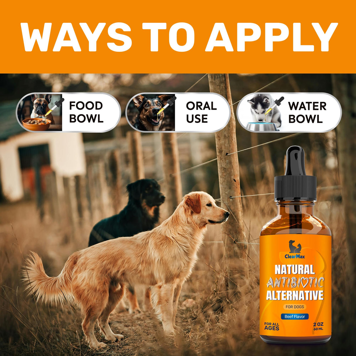 Natural Antibiotics for Dogs for Allergies, Infections, Coughs, Digestive Moments β Dog Antibiotics with Beef Flavor May Support Urination and Breathing β Organic Composition with Cranberry β 2 Oz