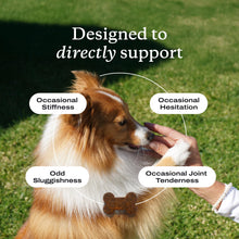 Load image into Gallery viewer, Petlab Co. Joint Care Chews for Dogs - High Levels of Glucosamine, Green Lipped Mussels, Omega 3 and Turmeric - Hip and Joint Supplement for Dogs to Actively Support Mobility, Packaging May Vary