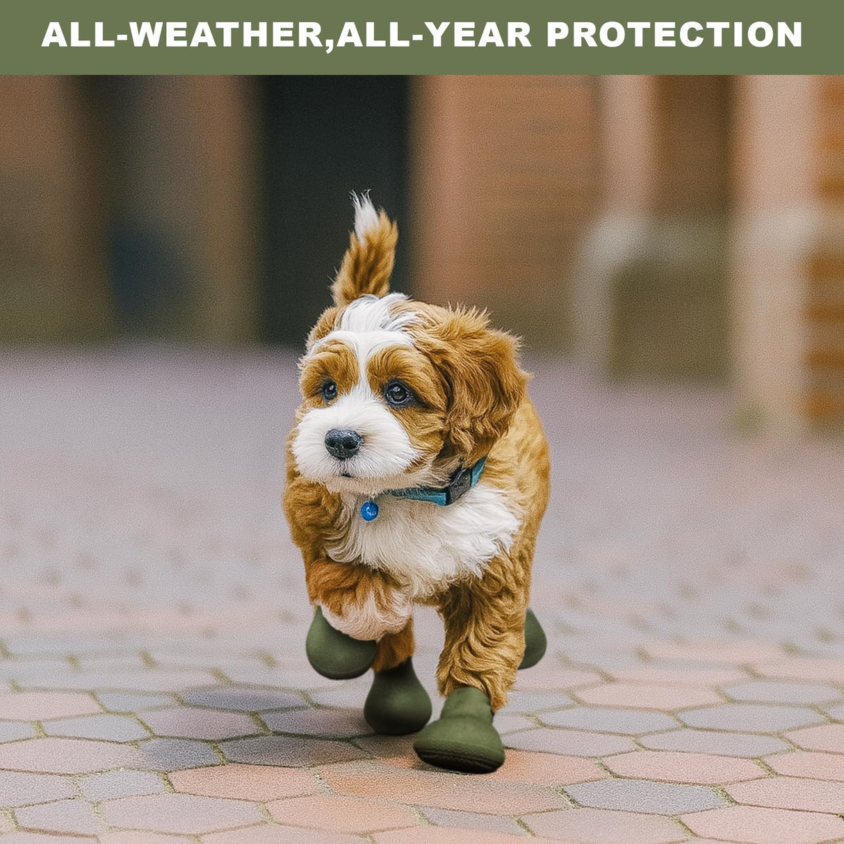 Dog Boots for Hot Pavement & Cold Weather – Ultra-Elastic Silicone, Easy On/Off Dog Shoes for Protects Paws & Prevents Licking, High Grip Non-Slip Dog Booties for Beach & Snow (Green, Small)