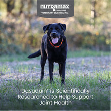 Load image into Gallery viewer, Nutramax Dasuquin for Large Dogs, Joint Health Supplement, Contains Glucosamine for Dogs, Plus Chondroitin, ASU and More, Supports Healthy Joints, Soft Chews, 84 Count