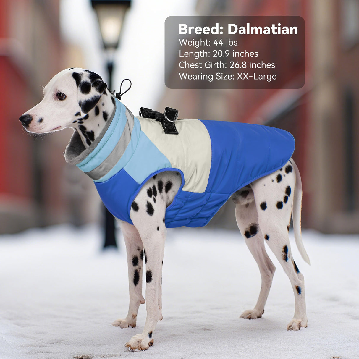 Vitiswap Dog Coats for Medium Dogs, Waterproof Dog Winter Jacket with Harness Built in, Cold Weather Coats, Reflective Zip-up Pet Vest, Warm Fleece Lined Dogs Snowsuit, Blue X-Large