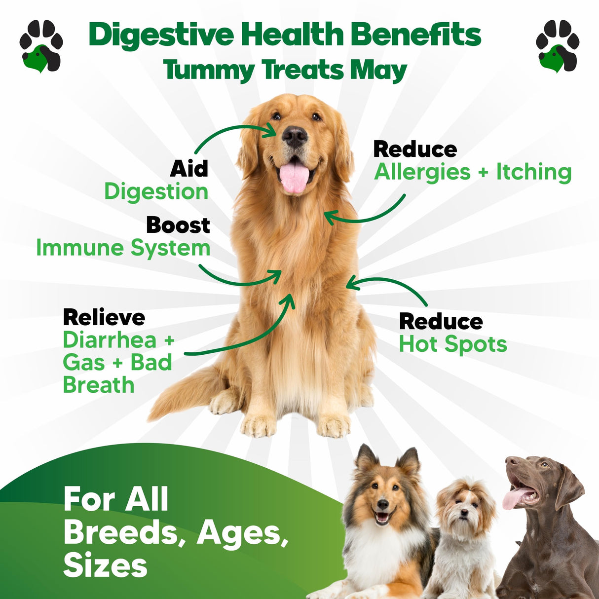 Probiotics for Dogs – Digestive Health Chews with Prebiotics & Enzymes | Dog Probiotic Supplement for Gut, Diarrhea Relief, Gas & Allergy Support – Chicken Flavor Soft Chews