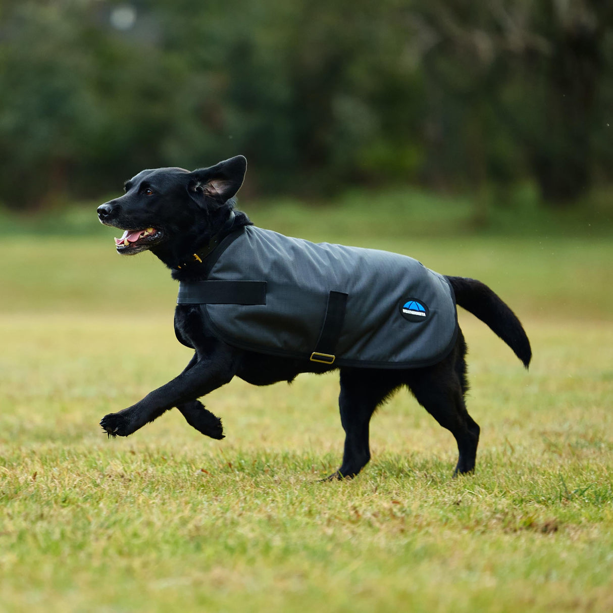 WeatherBeeta ComFiTec Classic Waterproof Dog Coat, Charcoal, 30"