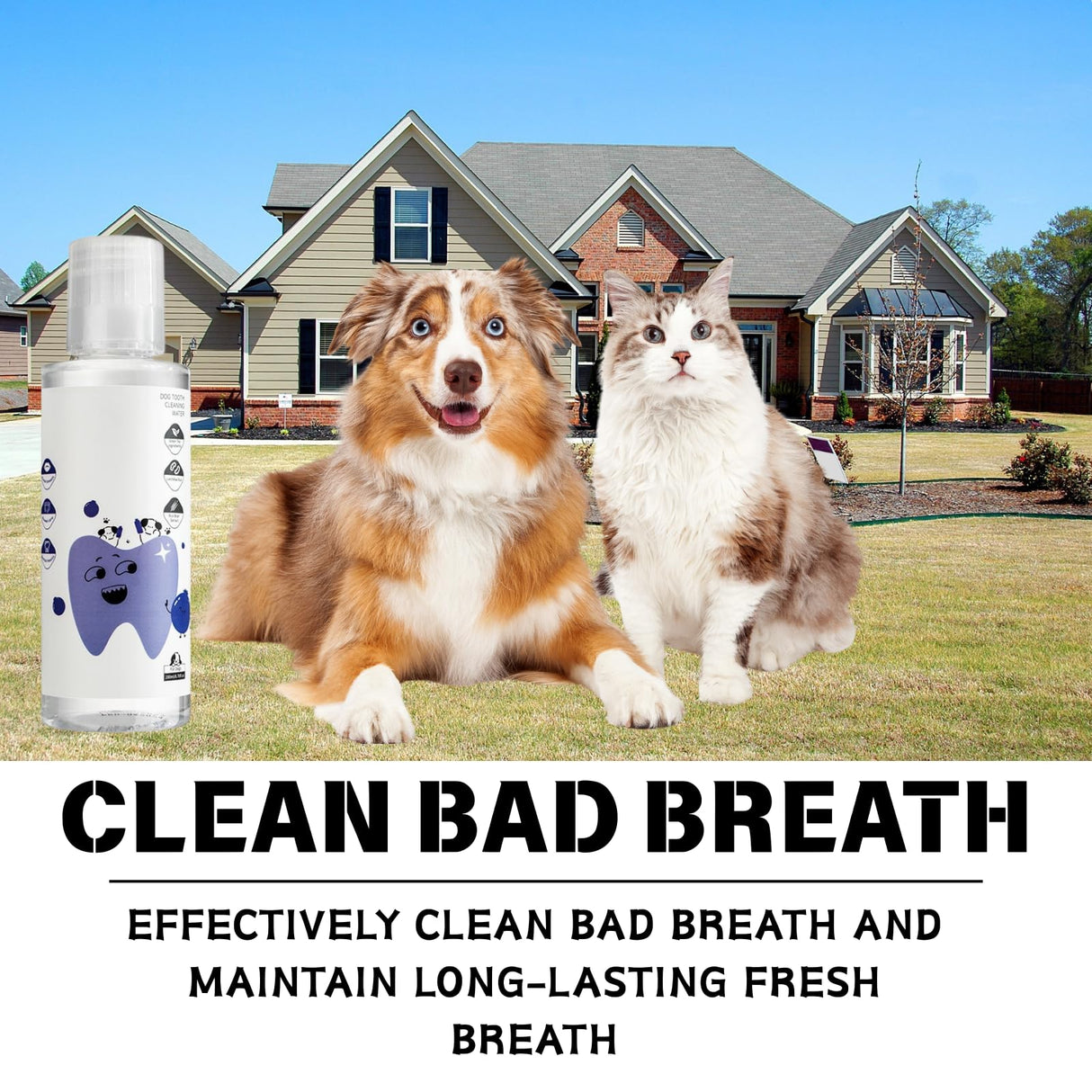 2Pcs Dental Plus,Freshen Breath, Natural, Odorless & Flavorless Formula to Fight Tartar, for All Pet