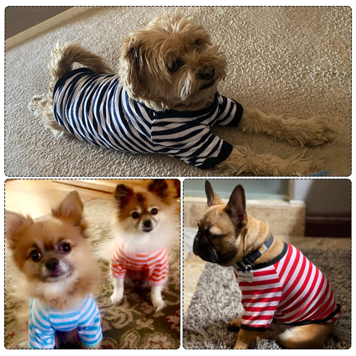 Geyoga 6 Pieces Dog T-Shirt Striped Cotton Breathable Spring Pet Apparel Colorful Soft Puppy Sweatshirt Clothes for Small to Medium Dogs Puppy(Light Color,M)