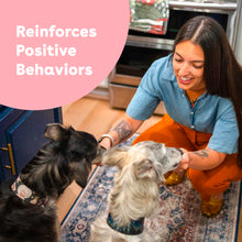 Load image into Gallery viewer, Pupford Freeze Dried Training Treats for Dogs & Puppies, 475+ Three Ingredient Bites (Beef Liver, 4 oz)