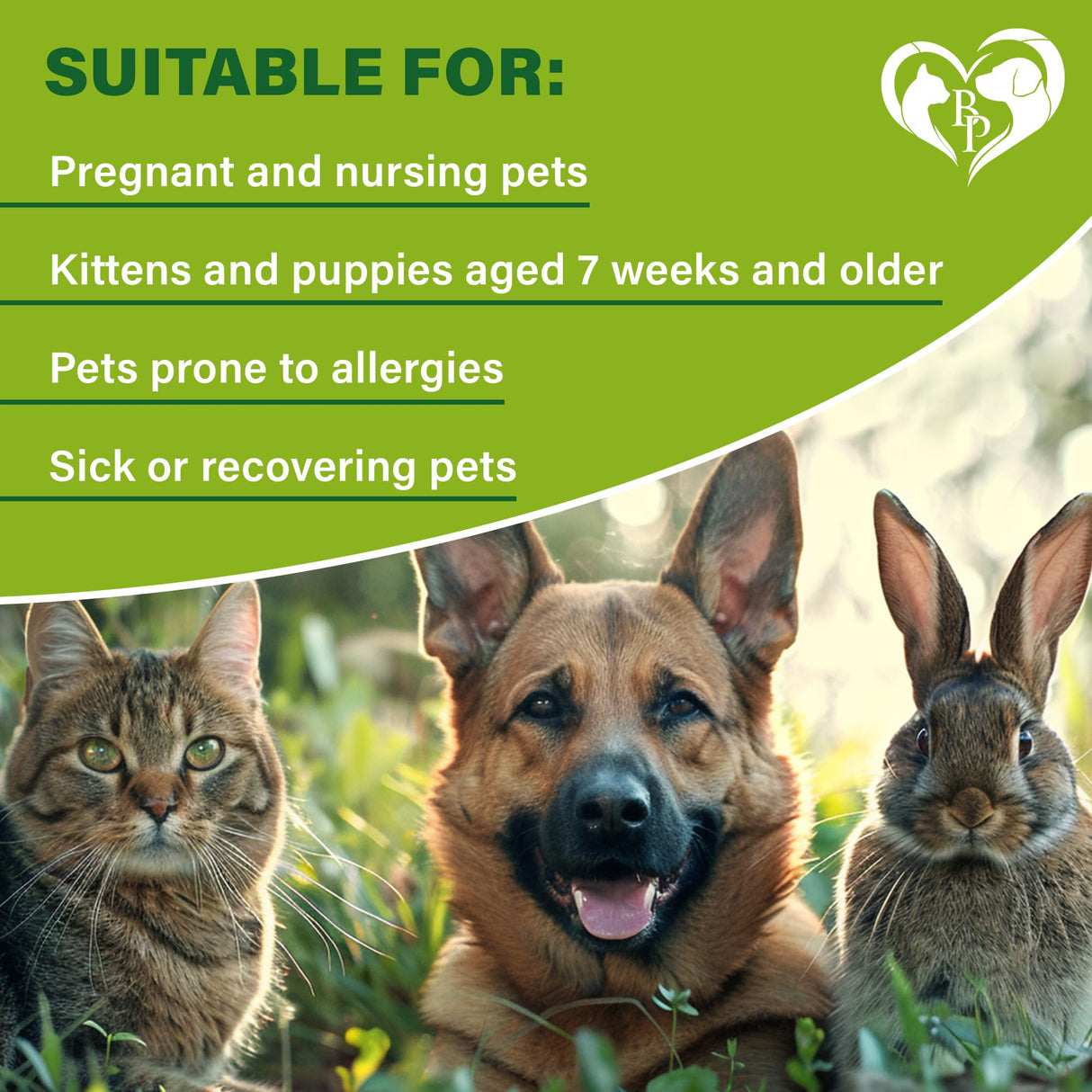 Flea and Tick Prevention for Small Dogs & Cats, Rabbits - Natural Flea Treatment & Pest Control - Topical Flea & Mosquito Repellent for Puppy and Kitten - All Pets