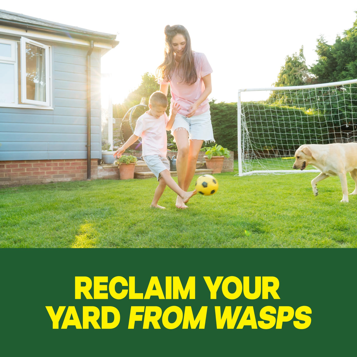 Raid Outdoor Wasp Ground Nest Killer, Dust Insecticide for Outside Household Use on Wasps, Fast-Working, Easy-to-Use and Odorless, 24 oz