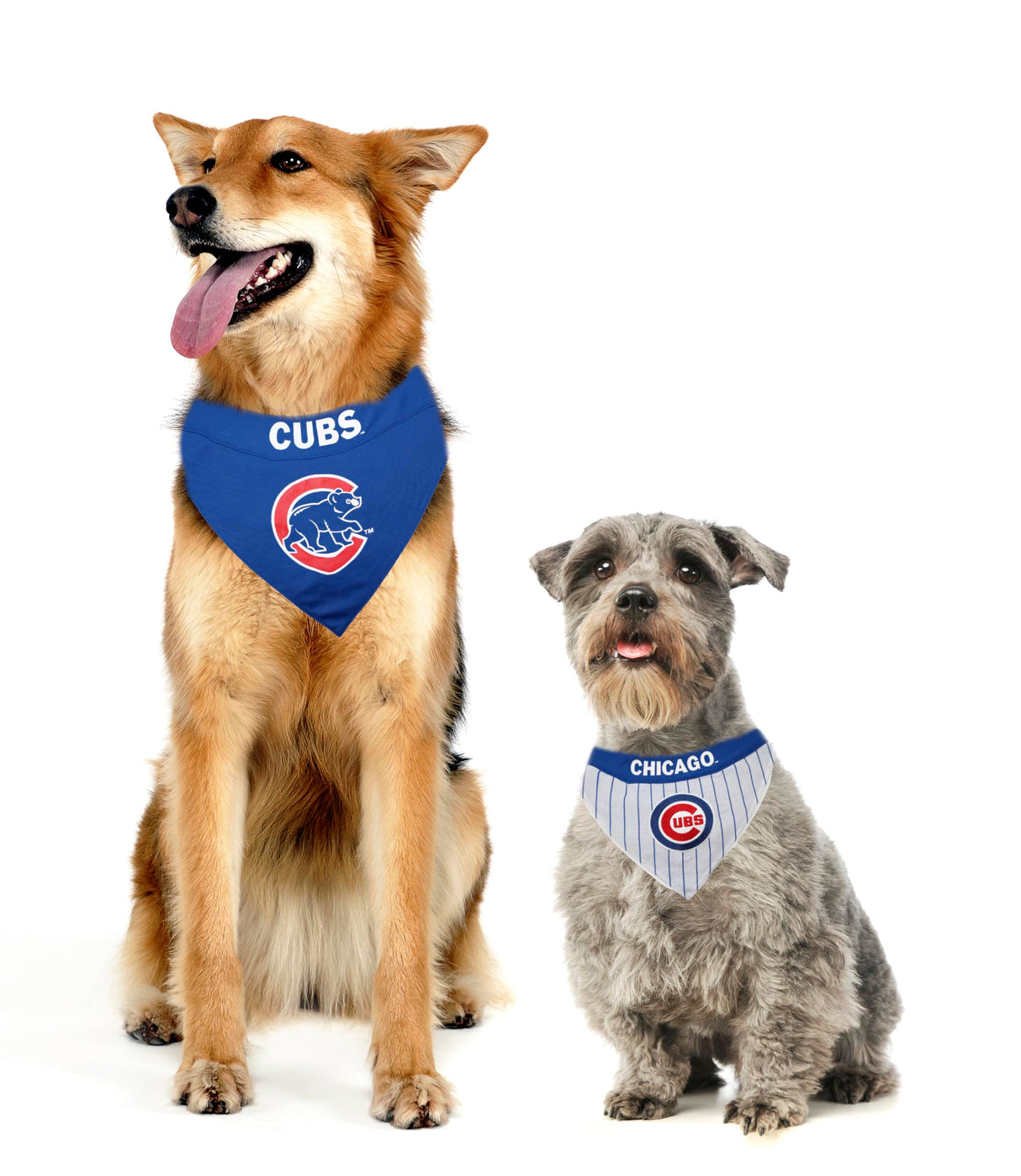 Pets First MLB Chicago Cubs Reversible Bandana Size XX-Large for Dogs & Cats. 2 Sided Sports Bandana,Premium Embroidery Team Logo, All MLB Teams Available