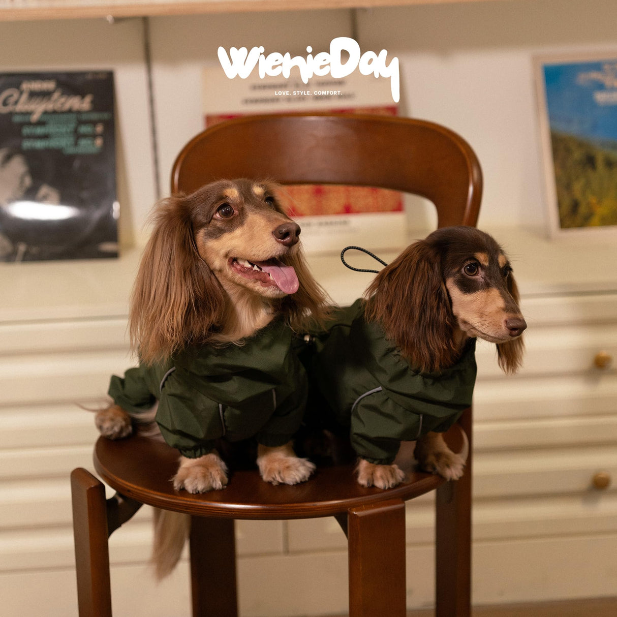 WienieDay Dachshund Full Body Dog Raincoat, Waterproof 4-Leg Jacket with Removable Belly Flap, Lightweight Reflective Hooded Dog Coat for mini Dachshund Small Medium Dogs (X-Large(20-25lbs))