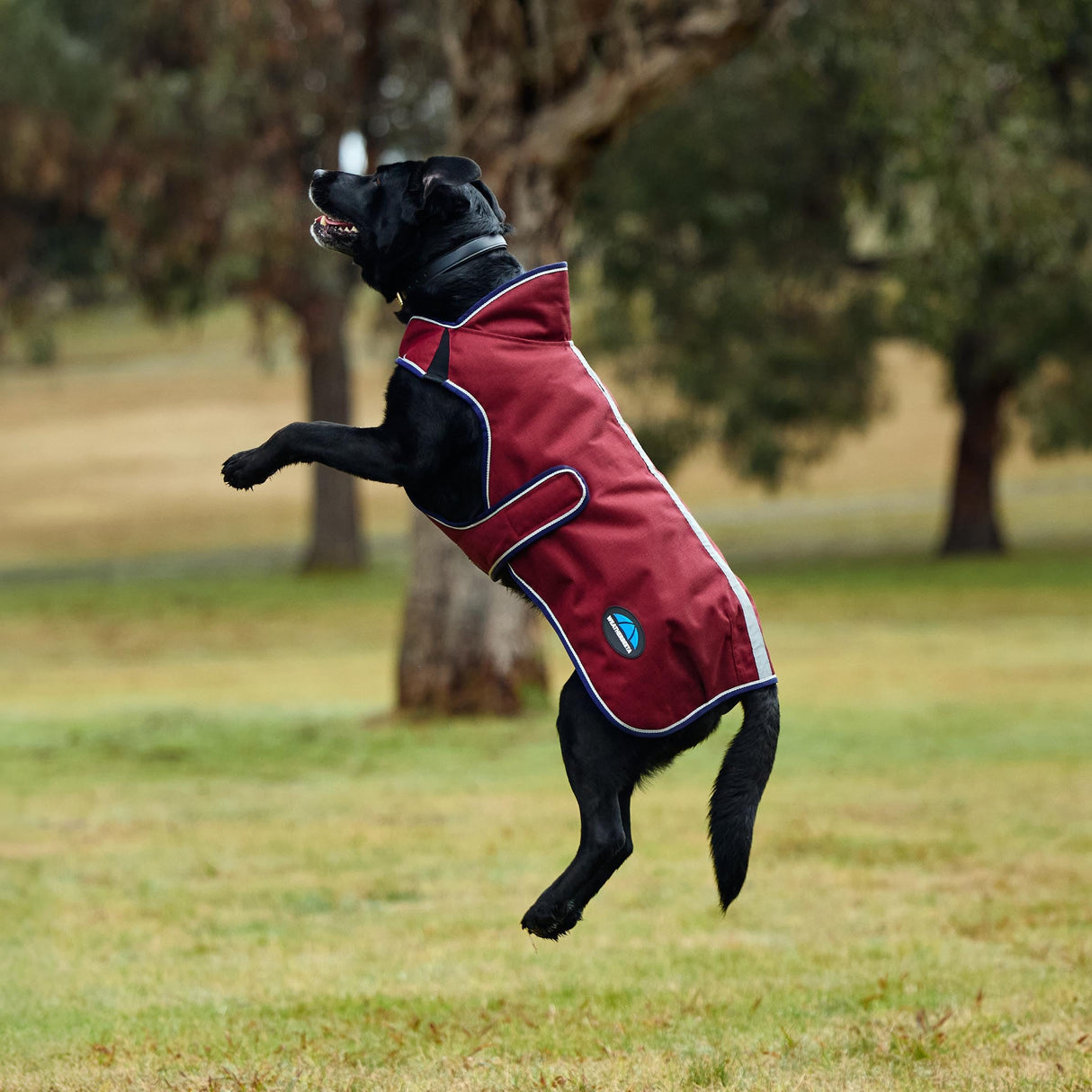WeatherBeeta ComFiTec Premier Deluxe Waterproof Dog Coat, Burgundy/Navy, 30"