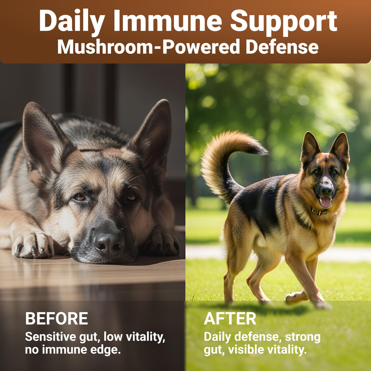 WuffWell Turkey Tail Mushrooms for Dogs – Mushroom Supplement for Dogs Immune Support – Aids Lumps & Bumps – Mushroom Powder for Dog – Vet-Recommended – Dog Mushrooms Powder – Made in USA - 140ct