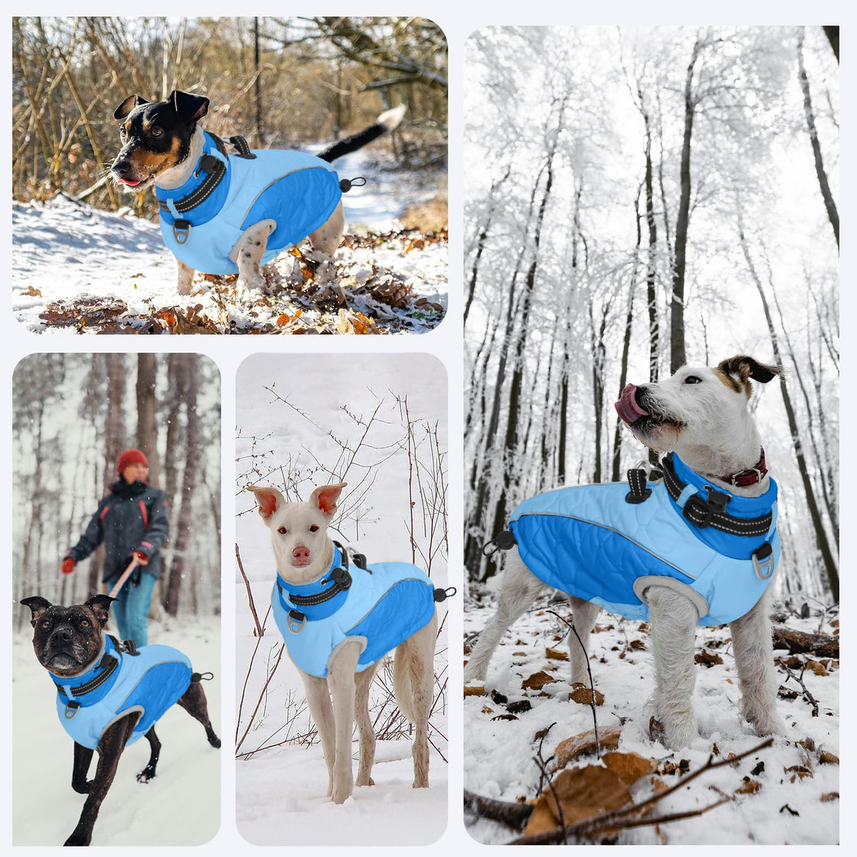 Warm Dog Coat - Reflective, Windproof and Waterproof with D Ring & Adjustable Buckles, Turtleneck, Fleece Lined Large Dog Coats for Winter, Christmas Pet Garment Snowsuit - 3XL Blue