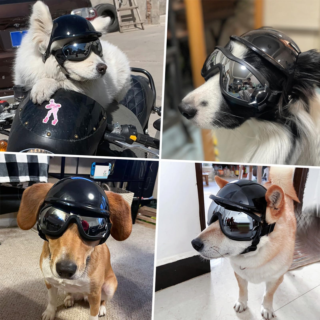 LESYPET Dog Helmet and Goggles, Large Dog UV Protection Pet Sunglasses Motorcycle Helmet, Adjustable, Riding and Driving, Black