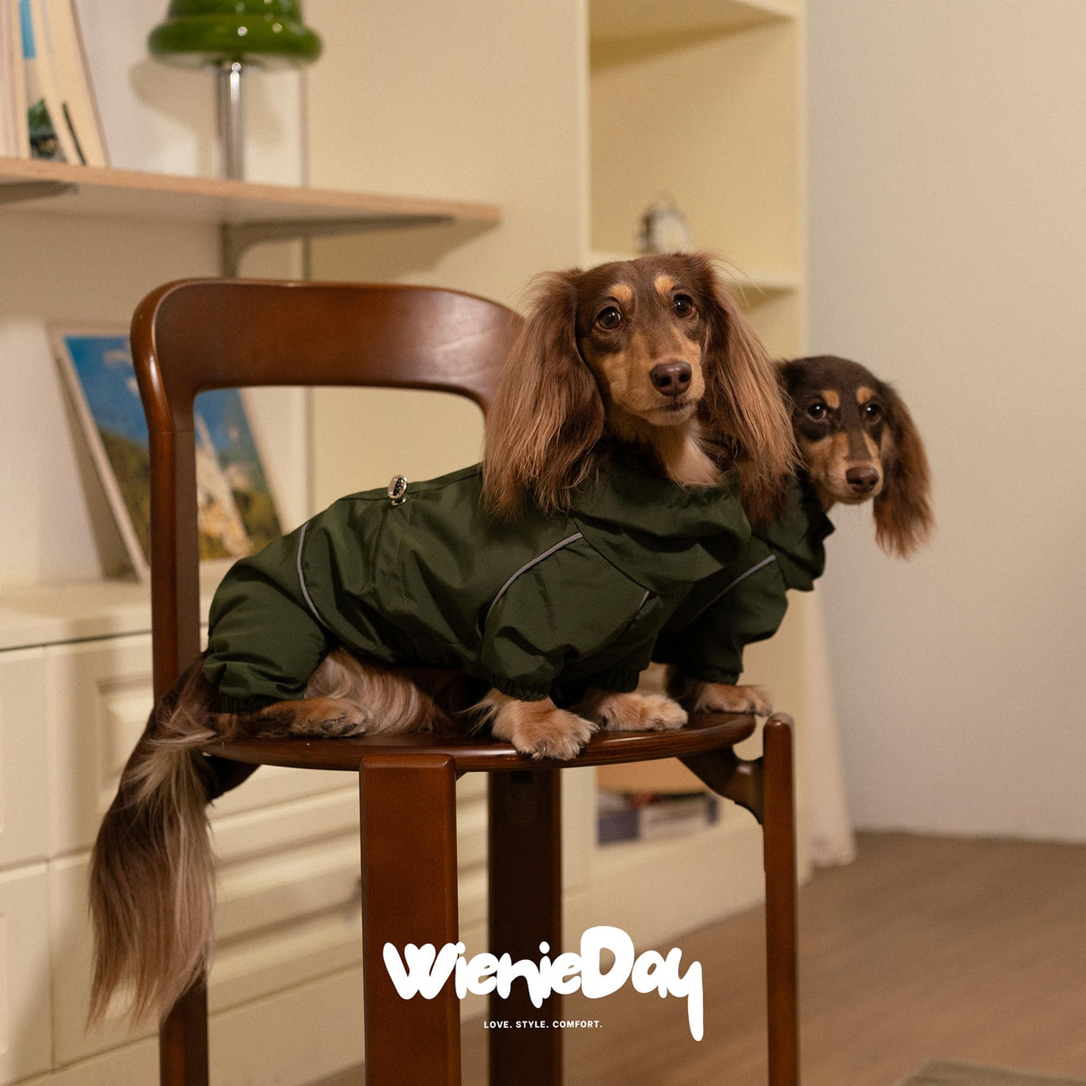 WienieDay Dachshund Full Body Dog Raincoat, Waterproof 4-Leg Jacket with Removable Belly Flap, Lightweight Reflective Hooded Dog Coat for mini Dachshund Small Medium Dogs (X-Large(20-25lbs))