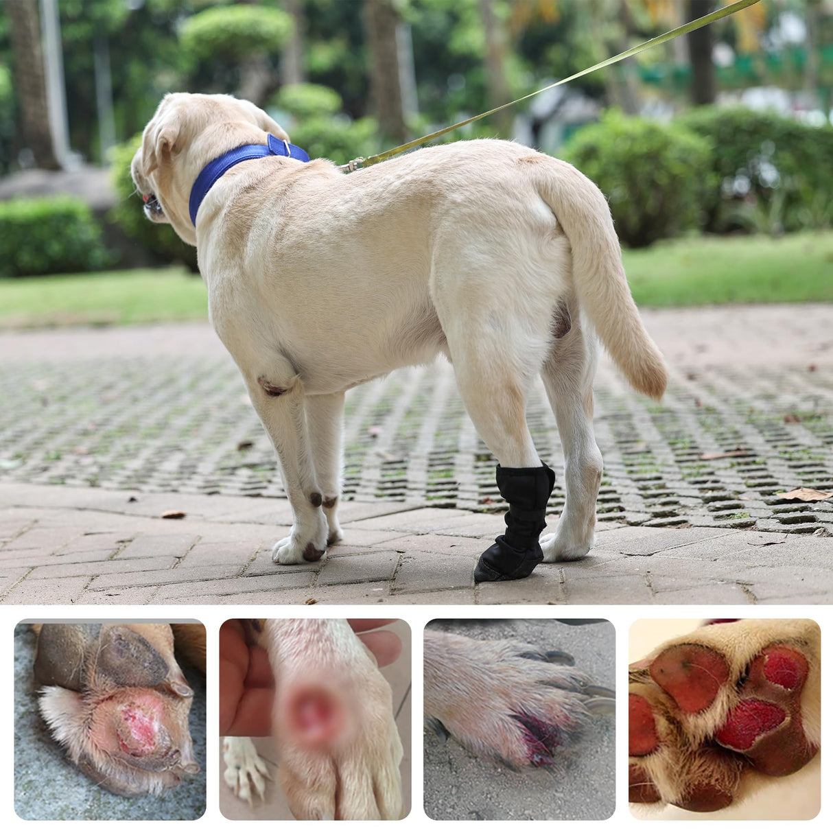 ETIAL Dog Paw Protector Injury & Wound Recovery Boot, Anti-Slip Dog Shoe with Dual Self-Adhesive Straps for Outdoor Walking & Keep Dogs from Licking Wounds (XL, Count, 2)