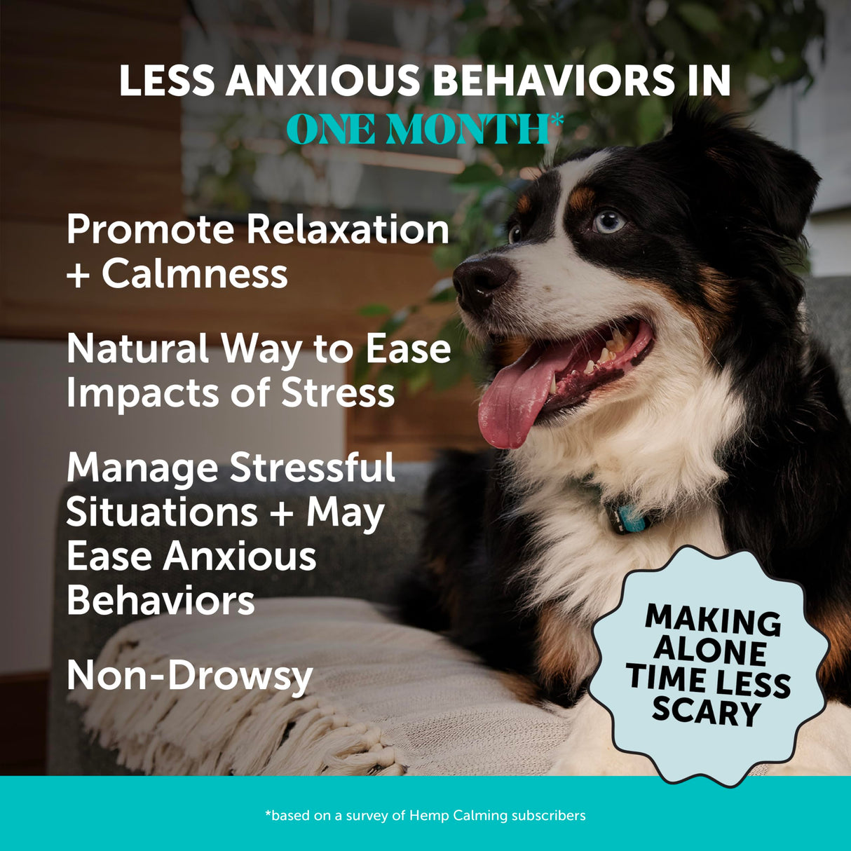 Natural Hemp Calming Chews for Dogs - Calming Aid Supplement for Occasional Anxiousness with Valerian Root, Chamomile, + Magnesium - Stress, Separation & Thunder Support - (Beef Liver, 90 Count)