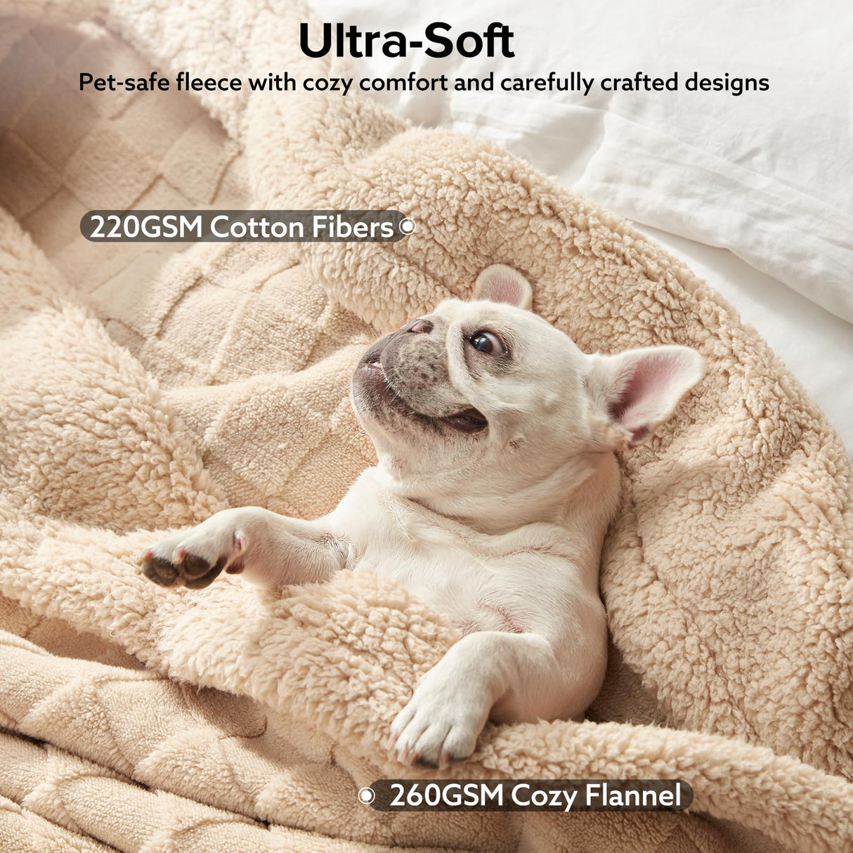 GASUR Waterproof Dog Blankets for Large Dogs, Dog Blanket for Couch Bed, Fleece Pet Blanket for Furniture Sofa Protector, Soft Pet Throw Blankets for Crate Car Outdoor, Washable, Twin 60"x80" Beige