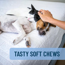 Load image into Gallery viewer, Nutramax Solliquin Calming Behavioral Health Supplement for Small to Medium Dogs and Cats - With L-Theanine, Magnolia / Phellodendron, and Whey Protein Concentrate, 75 Soft Chews