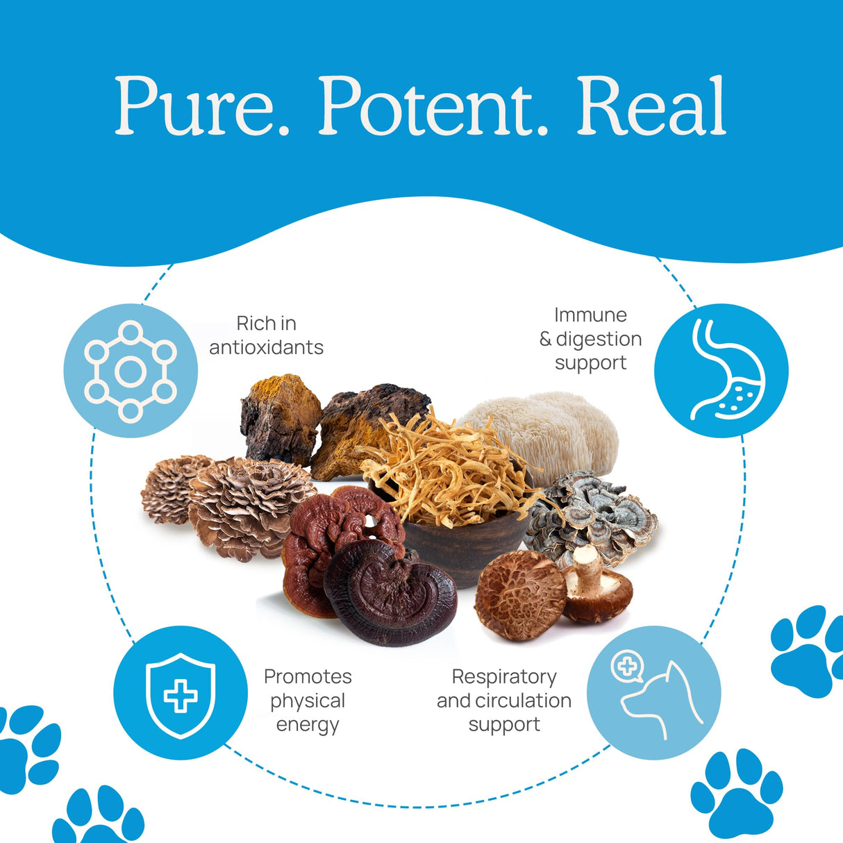 Real Mushrooms Whole Dog Health – Functional Mushroom Blend for Dogs with Lion’s Mane, Cordyceps, Turkey Tail, Reishi, Shiitake for Overall Wellbeing of Dogs – 2.65 oz Powder Supplement