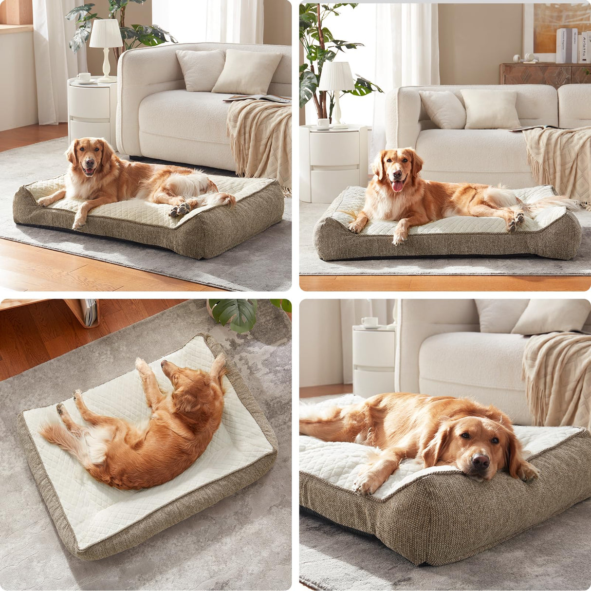 JOEJOY XL Orthopedic Dog Beds Large Sized Dog, Extra Thick Supportive Big Dogs Couch Bed with Sides, Ultra Soft Pet Bed Sofa for Large Dogs, Beige, 38''x28''