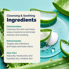 Load image into Gallery viewer, Vetnique Dermabliss Chlorhexidine for Dogs Skin Health - Antibacterial Medicated Spray - for Skin Infections & Irritation, Hot Spots & Redness Relief (Medicated Spray, 8oz)