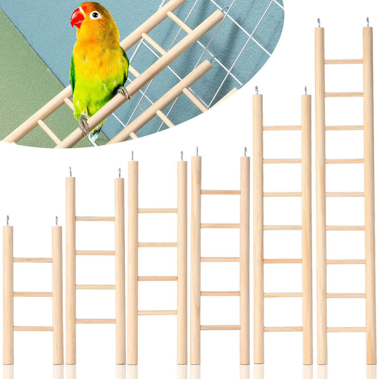 Kigeli 6 Pcs Wood Step Ladder for Bird, Hanging Bird Ladder Parrot Step Cage Hanging Climbing Toys for Parakeets, Parrots, Cockatoo and Lovebirds
