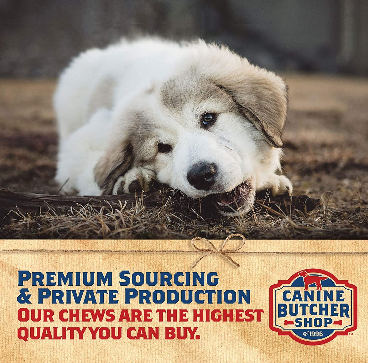 Canine Butcher Shop Chicken Feet Dog Treats, Raised & Made in USA (30-Pack), Dehydrated Chicken Feet, All Natural Dog Chews & Dog Snacks