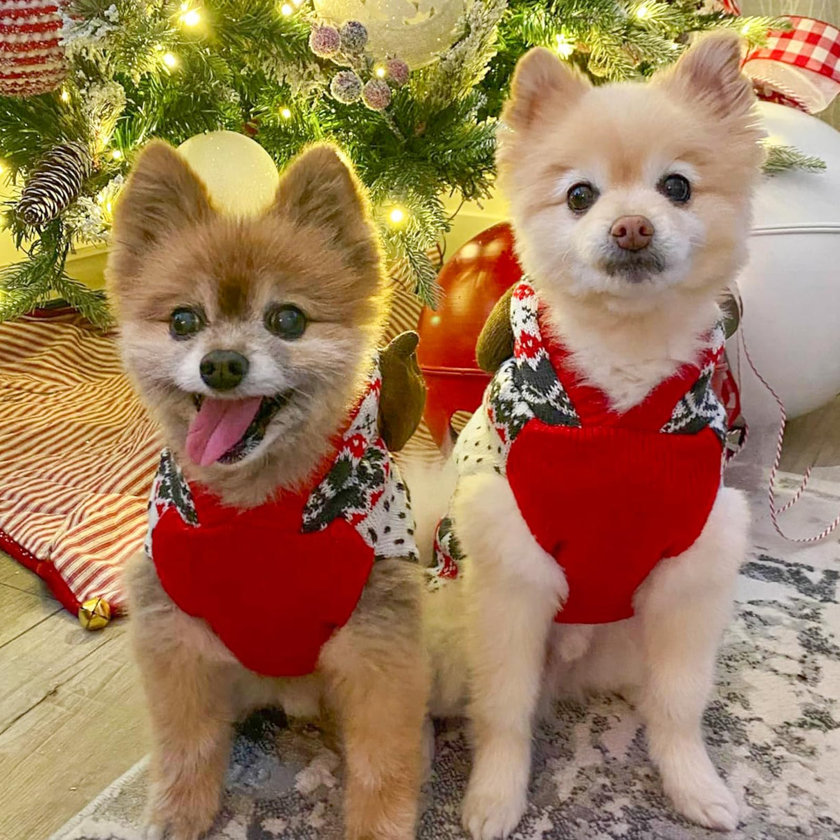 KYEESE Dog Christmas Sweater, Warm Dog Sweater for Small Dogs Boy Girl with Reindeer Antler Hood, Classic Winter Knitwear with Leash Hole, Soft Stretchy Fabric, Cozy Pet Clothes, Small