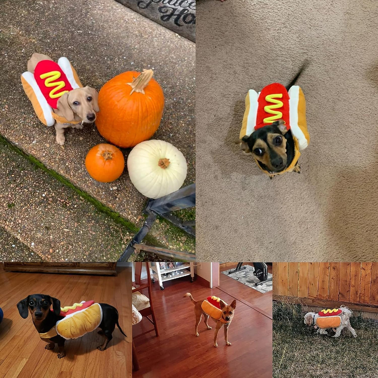 ISMARTEN Hot Dog Pet Costume, Fun Food Halloween Dog Cosplay, Christmas Costumes for Small Dogs, Puppies & Cats (Large, Red & Yellow)