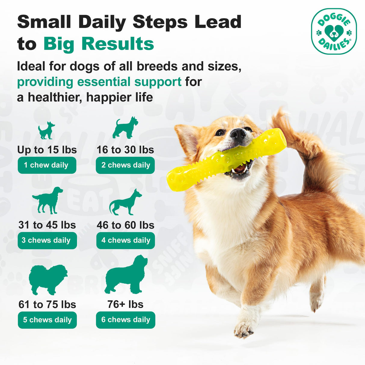 Doggie Dailies, Hip and Joint Supplement for Dogs, Glucosamine Chondroitin, Premium Hip and Joint Chews for Dogs All Breeds & Sizes, Dog Vitamins and Supplements, (Peanut Butter) 225 Chews