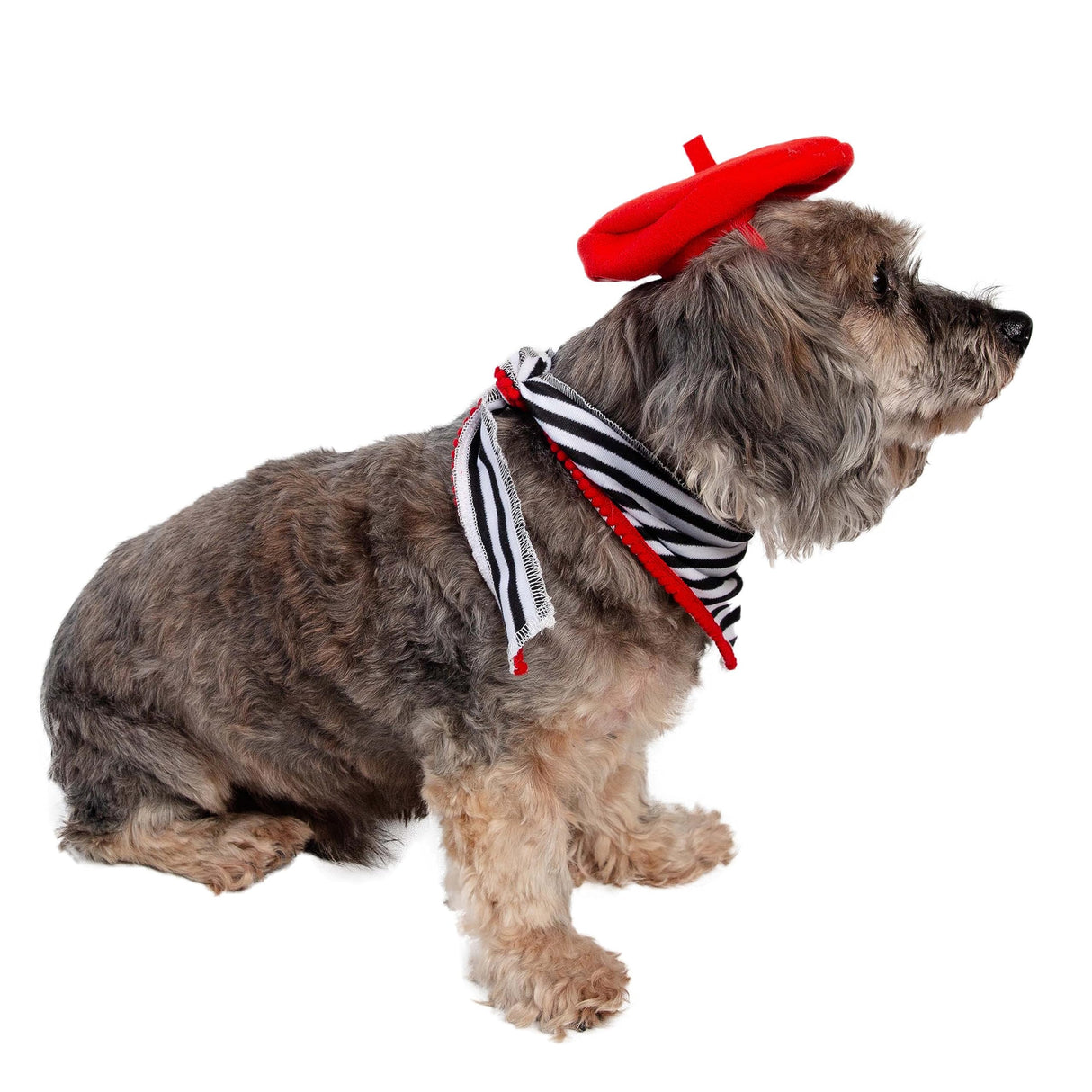 French Beret & Scarf Pet Costume - Two Piece Beret & Scarf Set - Dog & Cat Costume - One Size
