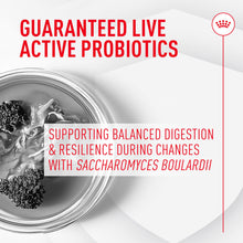 Load image into Gallery viewer, Royal Canin Probiotics for Dogs Digestive and Immune Health Powder Supplement for Dogs of All Ages, 30 Count