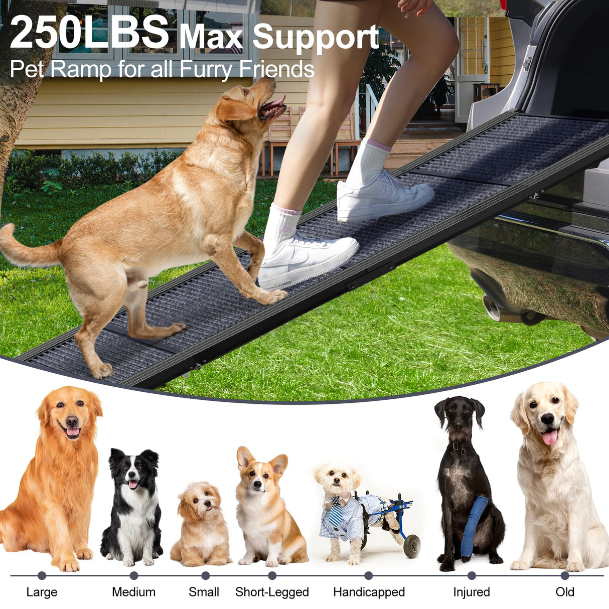 PetRuna Dog Ramp for Car 63" Long & 17.3" Wide Portable Dog Ramps for Large Dogs with Non-Slip Rug Surface Dog Car Ramp for SUV Car & Truck, Folding Dog Ramp Up to 250LBS
