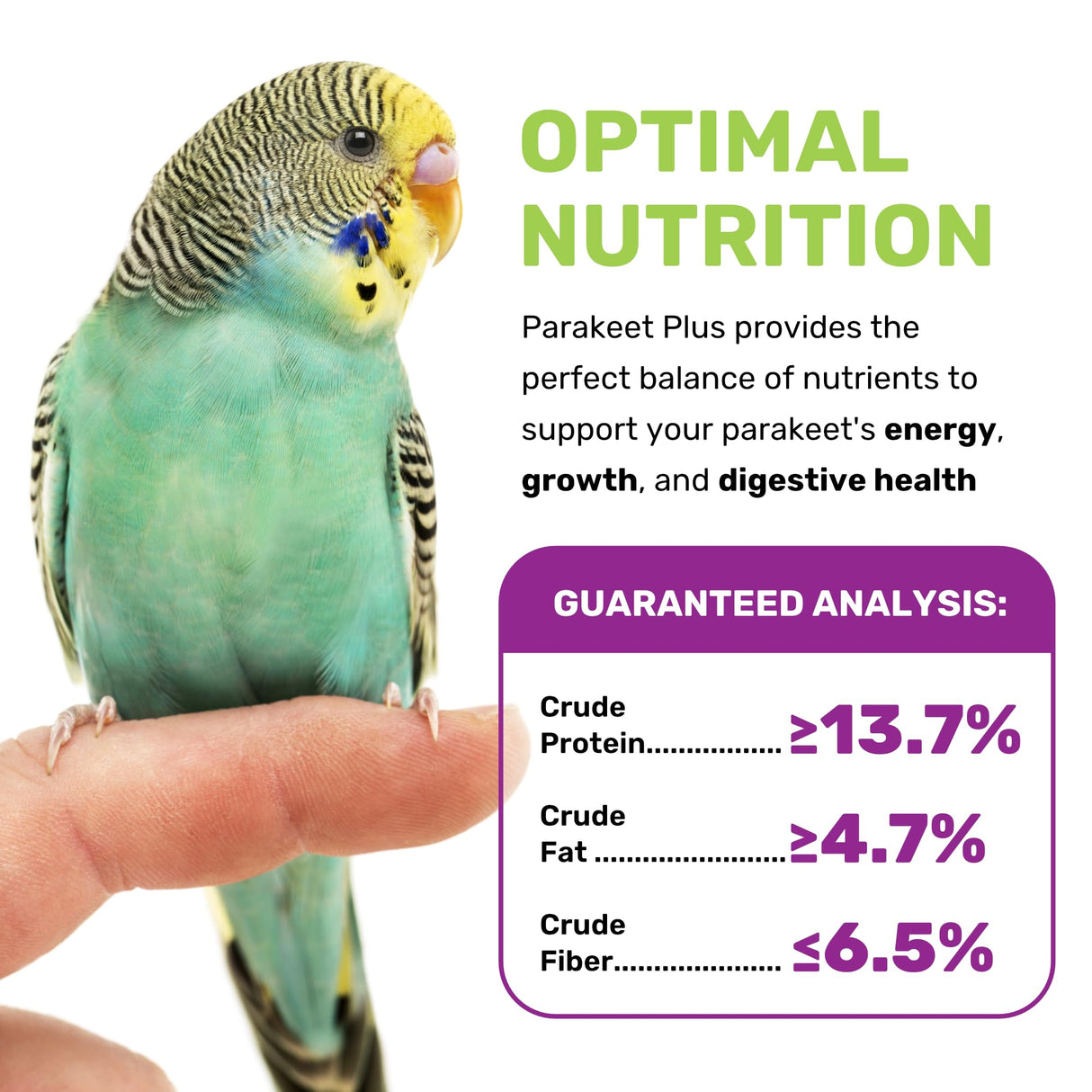 LEACH GRAIN & MILLING CO. Parakeet Food Plus, 5lbs Premium Parakeet Bird Food, Nutrient-Rich Blend, No Waste Bird Seed for Outside Feeders, Birdseed with Vitamins & Minerals, Supports Energy & Growth