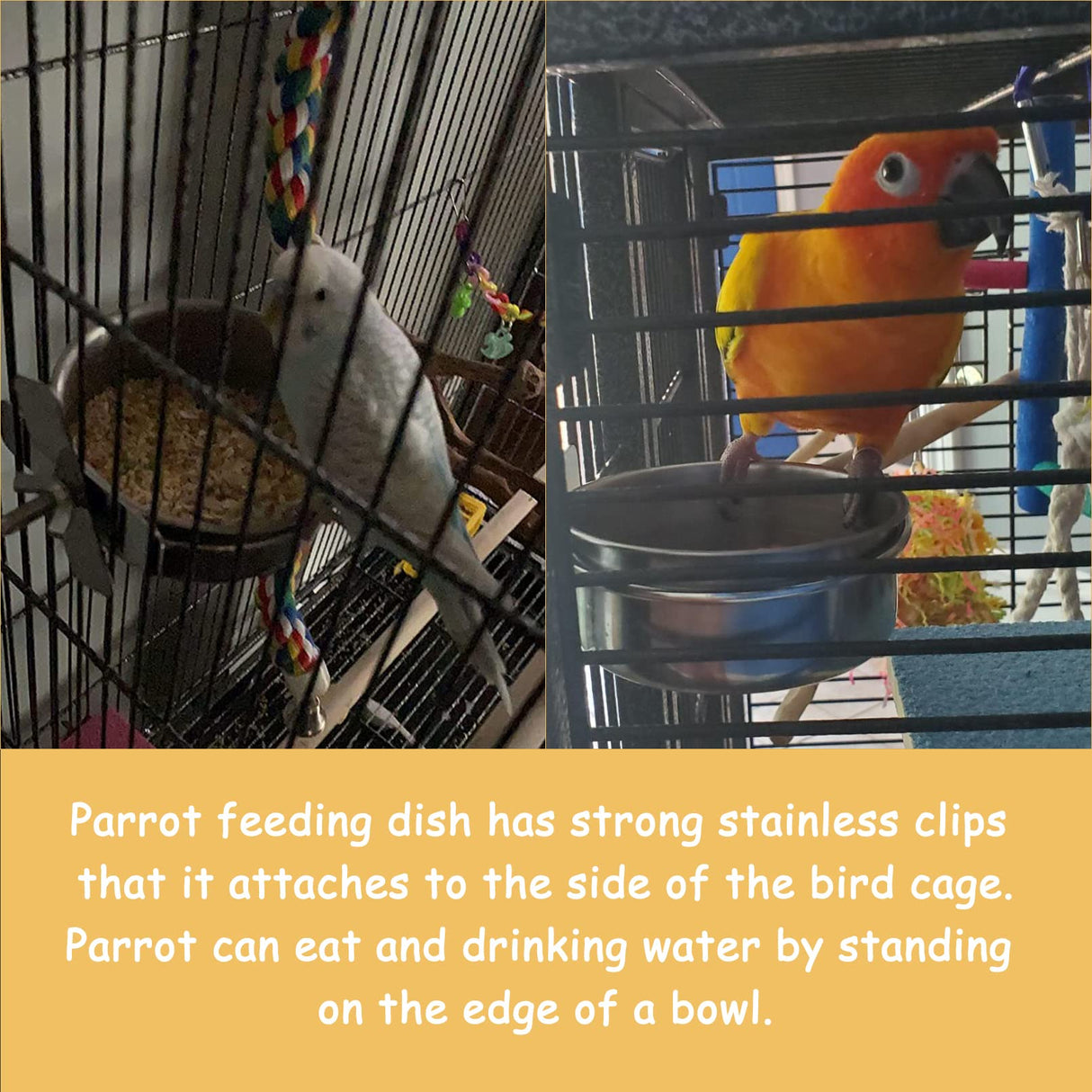 kathson Stainless Steel Bowls for Birds,4 Pcs Parrot Feeder Dish Cups,Bird Cage Water Food Bowl Coop Cup with Clamp Holder for Parrots Cockatiel Budgies Parakeet Lovebird(S)