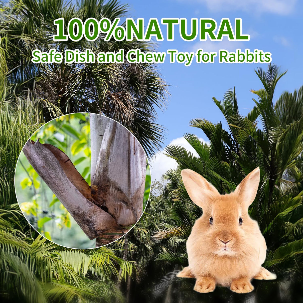 Jiaxix 30 Pcs Disposable Palm Leaf Bowls 4 inch Bowl for Rabbits, Compostable Like Bamboo Bowls Disposable Bowl Bunny Chew Toys Chewable Dish for Rabbits & Bunnies,Small Pets