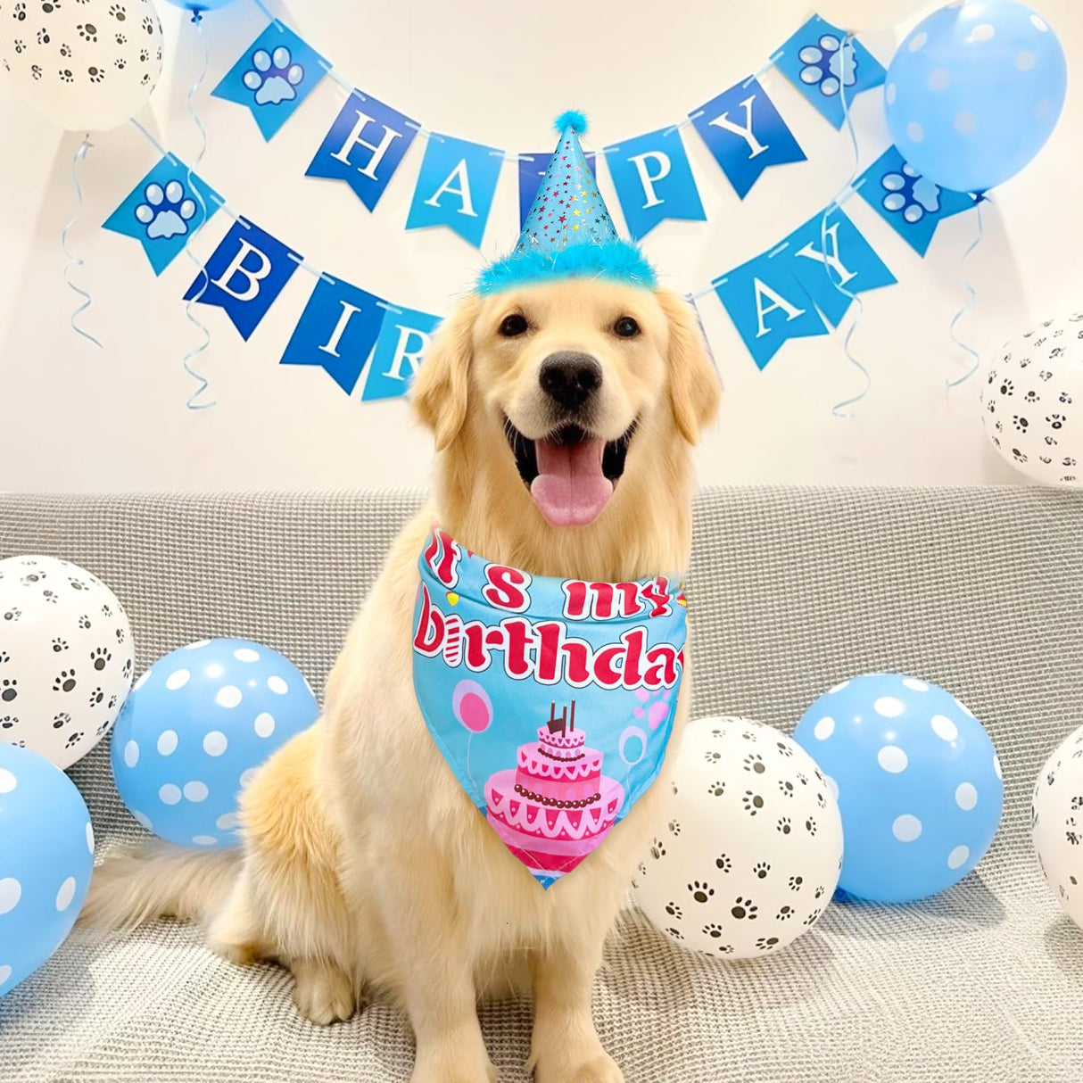 Floofelove 9Pcs Boy Gril Dog Birthday Decorations - Boy Dog Birthday Hat Party Supplies with Birthday for Dogs Hat Bandana Banner & Balloons Bow tie Outfits