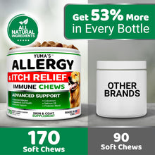 Load image into Gallery viewer, Dog Allergy Relief Chews - Dog Itching Skin Relief Treatment Pills - 170 Treats - Anti-Itch - Itchy and Paw Licking - Hot Spots - Omega 3 Fish Oil - Dry Skin & Coat Supplement - Beef Liver Flavor