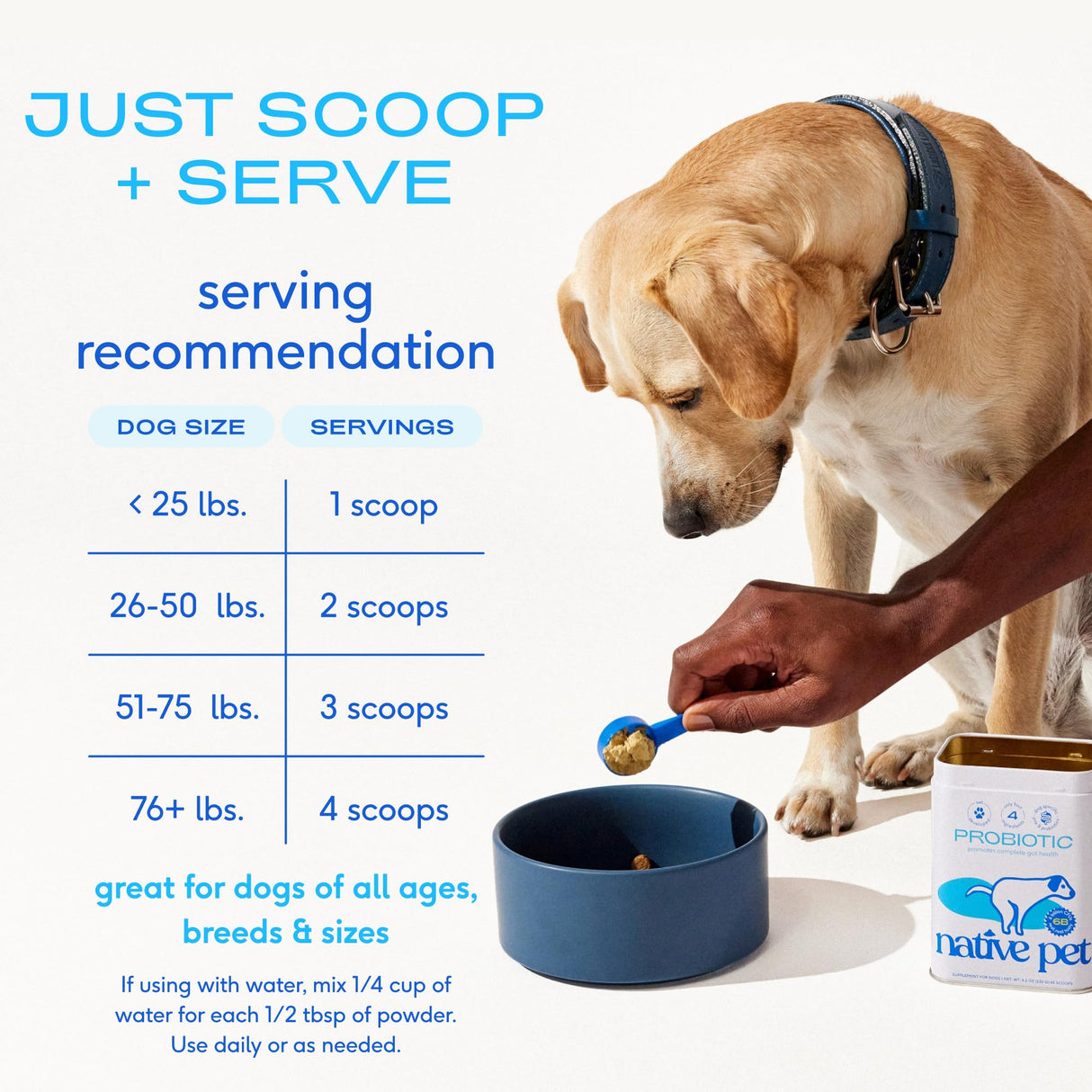 Native Pet Probiotics for Dogs - Dog Probiotics Powder for Digestive Health, Gut Support, & Immune Boost – Vet-Formulated Powder for Maximum Potency with Digestive Enzymes & Prebiotics - 120 Scoops