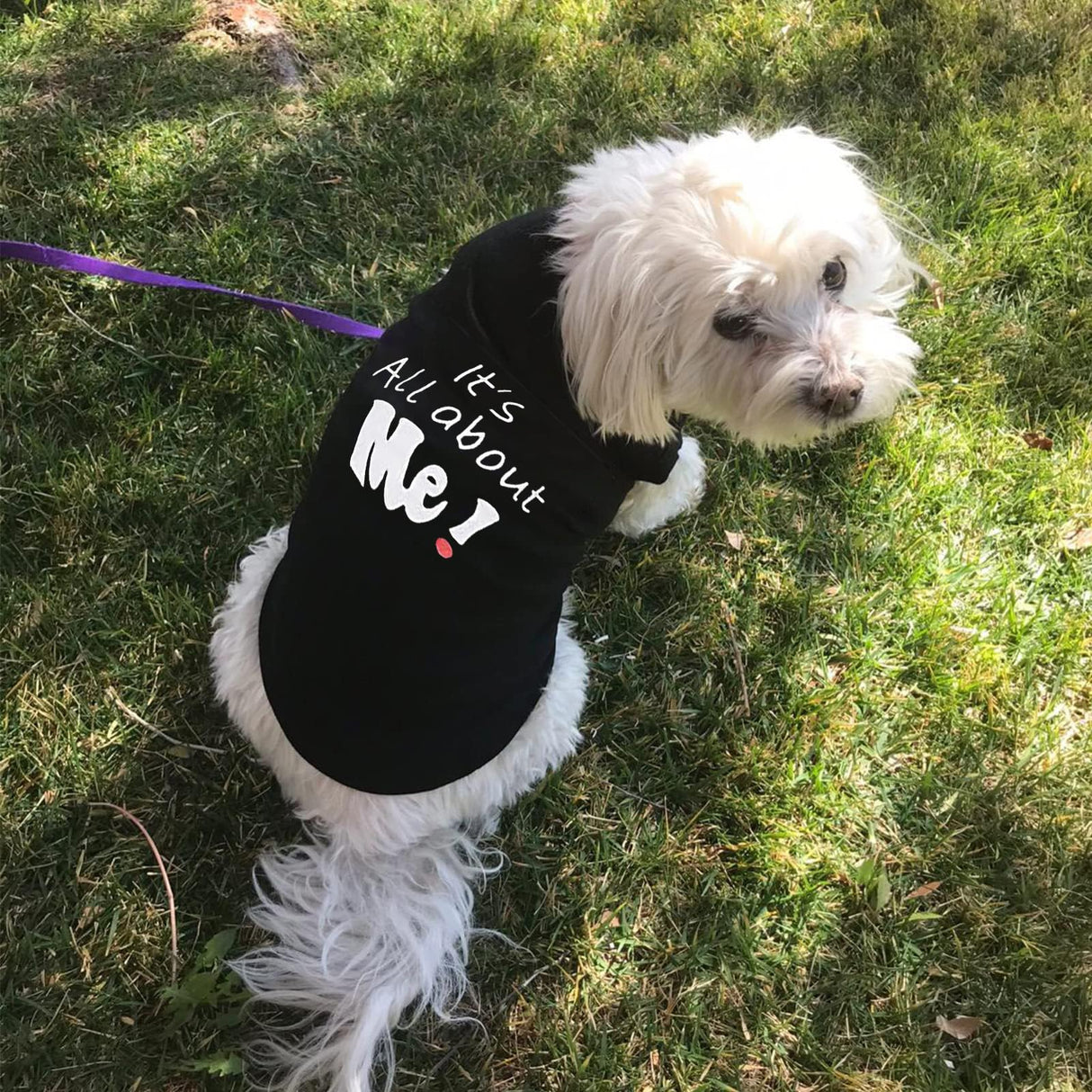 Custom Pet Tanktops Shirts Personalized Photo Logo Name Dog Cat Puppy Tee Shirt Tank Top Vest Apparels Clothes DIY Summer Costume for Small Dog Puppy Cat