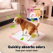 Load image into Gallery viewer, MoMoCo Puppy Pads, 23"x23"-100 Count Pet Pee Pads, Super Absorbent Disposable Dog Training Pads , Leak-Proof, Quick-Drying Potty Pads for Dogs Puppies
