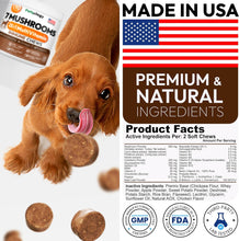 Load image into Gallery viewer, Turkey Tail Mushroom for Dogs - 170 Chews - Lion’s Mane - Shiitake - Reishi - Buddy Immune Support Guard - Mushroom Supplement for Dogs Lumps and Bumps Glucosamine, Health Vitamins Multivitamin