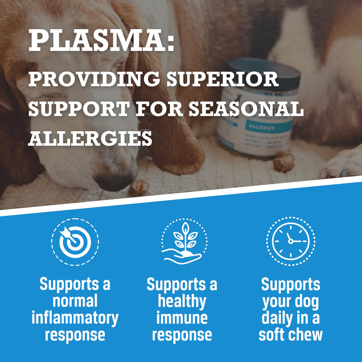 WINPRO Allergy Chews – Plasma-Powered Formula for Dog Seasonal Allergy Support – Grain-Free, Natural Blood Protein Supplements – 60 Soft Chews